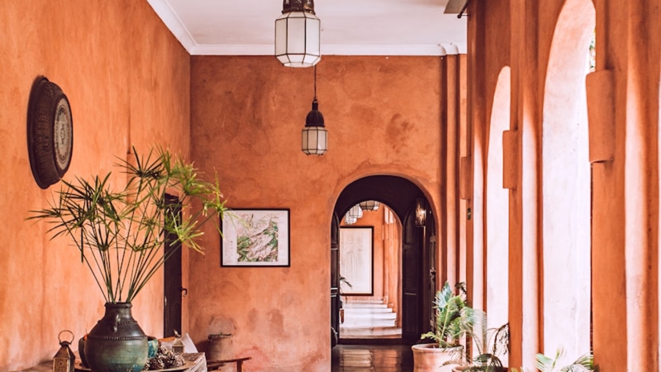 planters with plant near area rug inside room