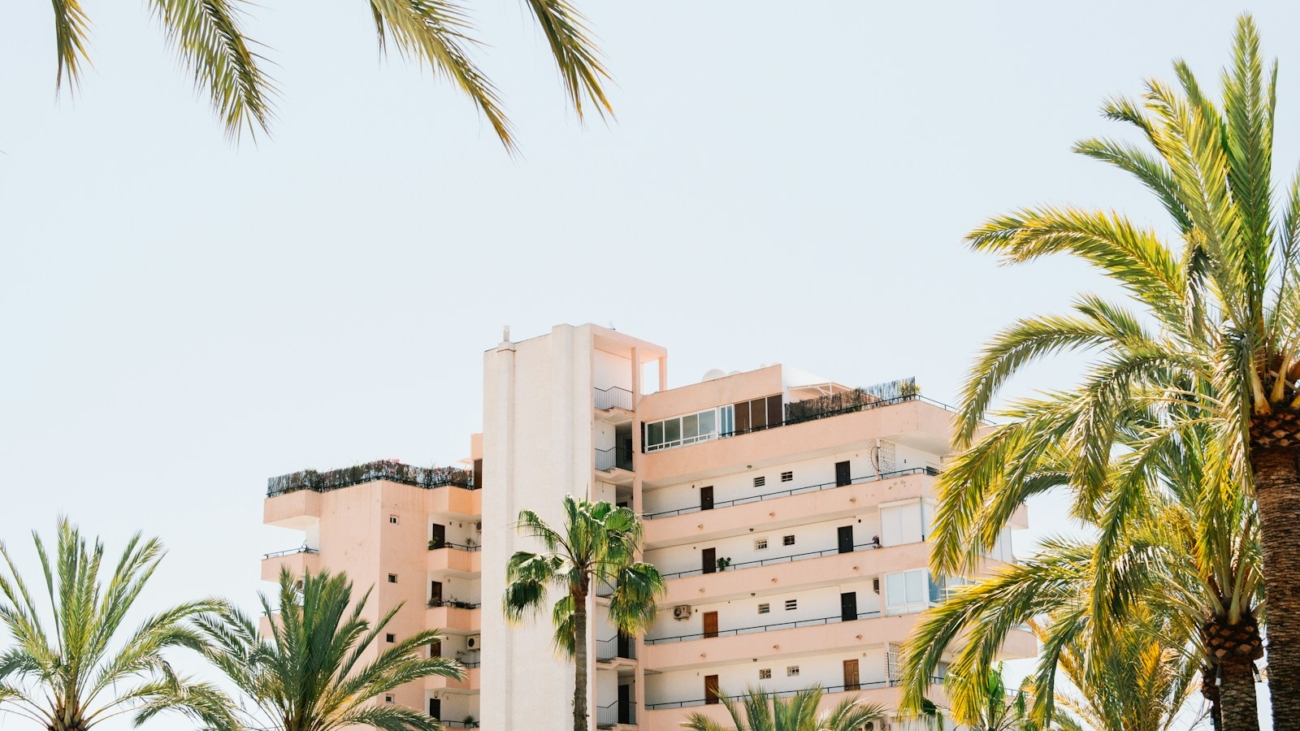 white concrete building beside green palm tree under white sky during daytime