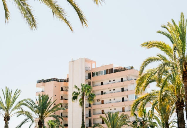 white concrete building beside green palm tree under white sky during daytime