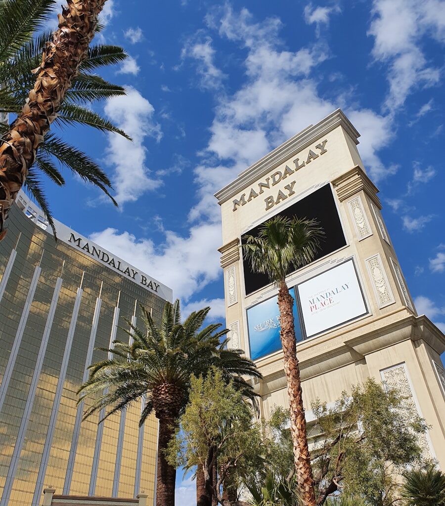 white and blue concrete building near palm trees under blue sky during daytime