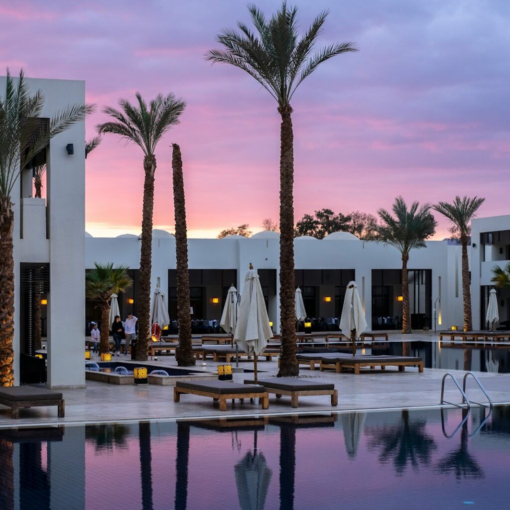 a large swimming pool surrounded by palm trees