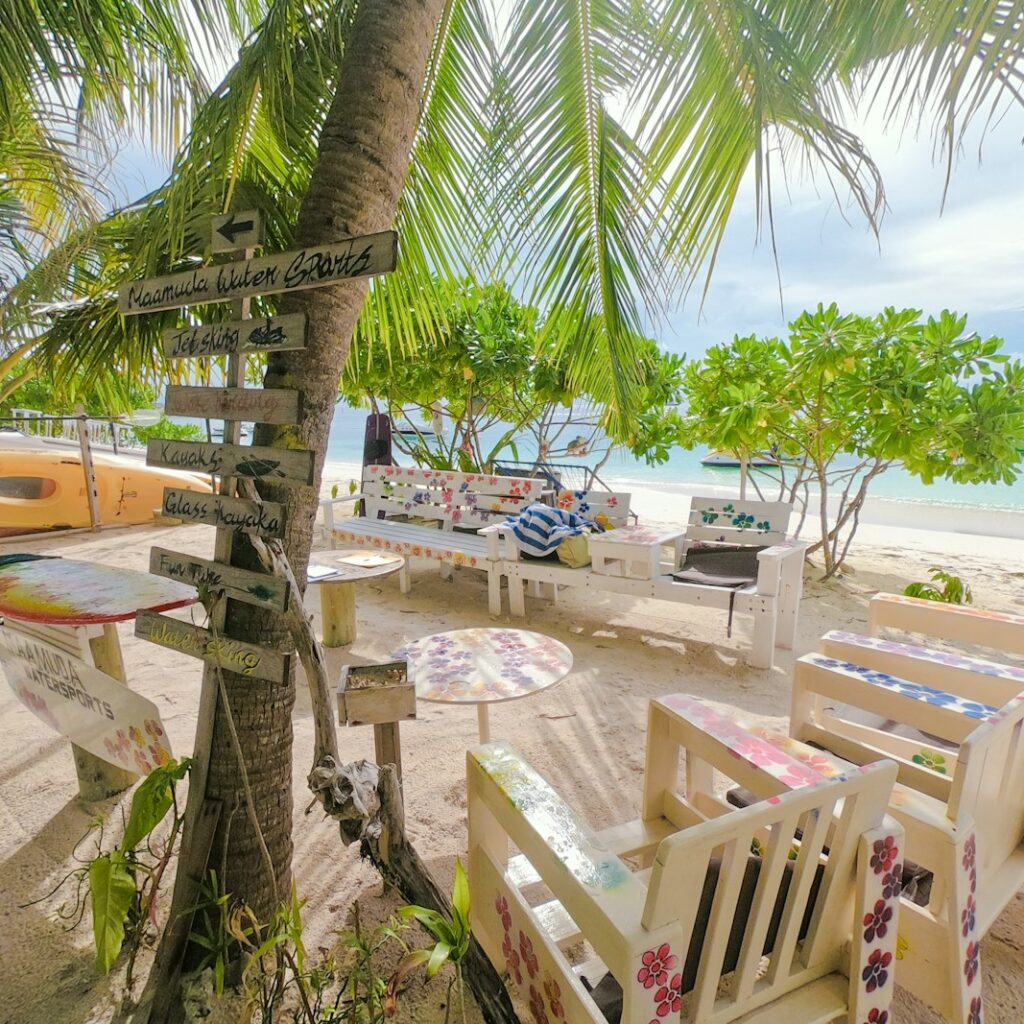 green palm tree near brown wooden chairs and table on beach during daytime